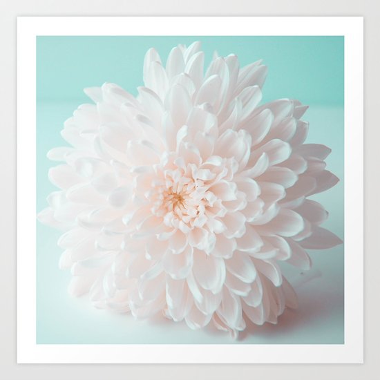 Sweet Flower Art Print