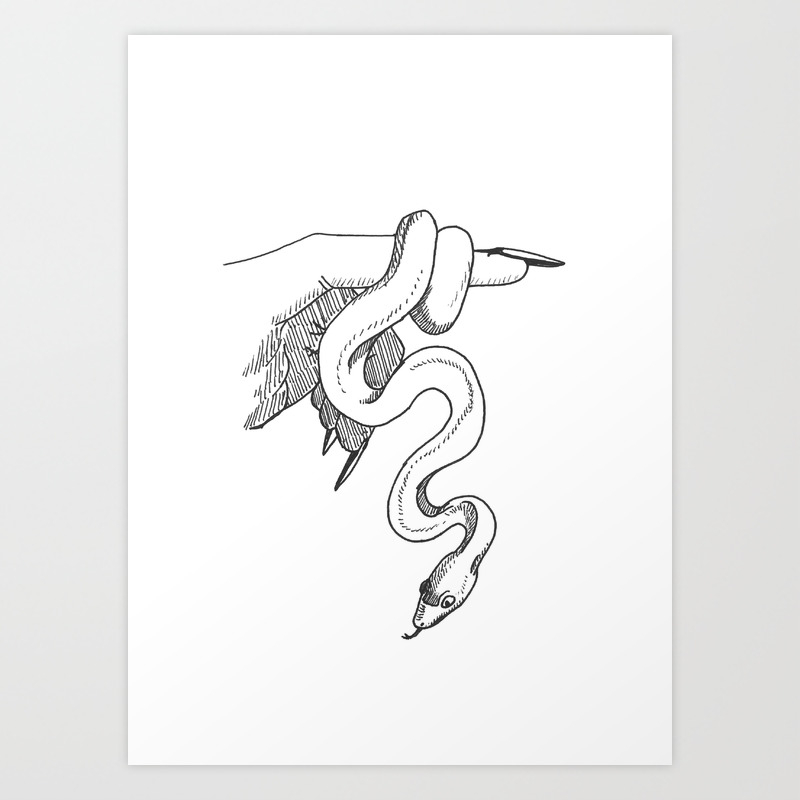 Leucistic Rainbow Boa White Snake Art Print By Charlottecurtis