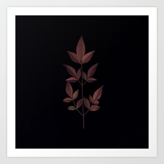 Herbarium 1 Art Print