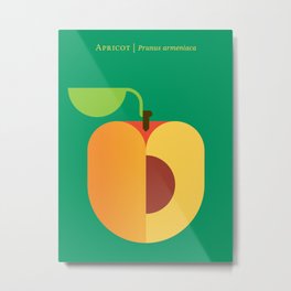 Fruit: Apricot Metal Print | Nature, Geometricdesign, Midcenturymodern, Graphicdesign, Kidsdesign, Fooddesign, Modernposter, Fruitpattern, Moderndesign, Contemporary 