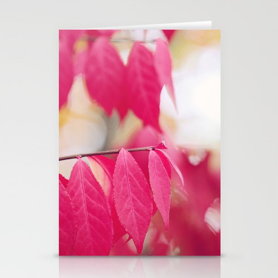 Autumn Splendor Stationery Cards