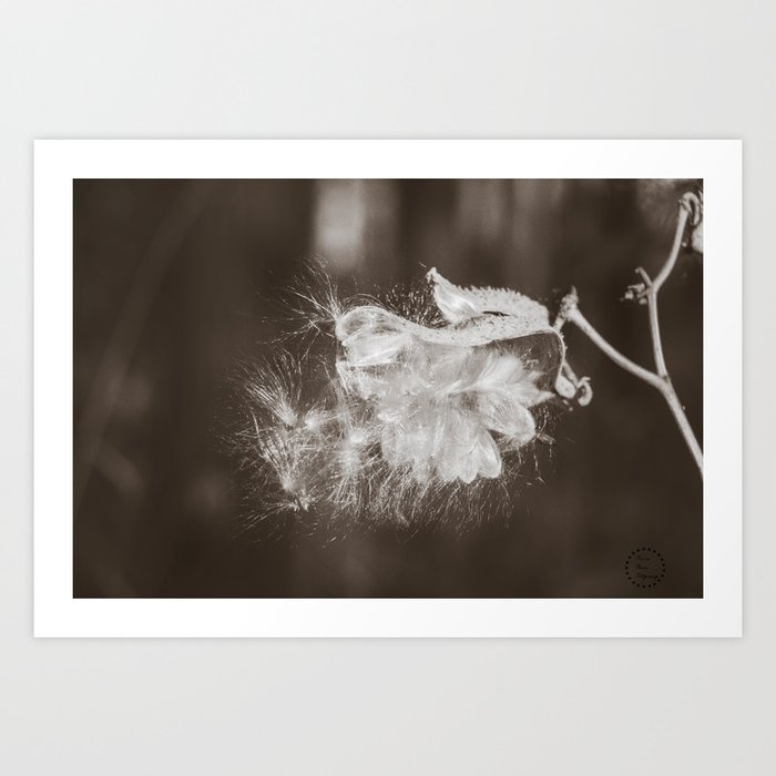 Downstream Campground, North Dakota 30 Art Print by A.S. Galston Society6