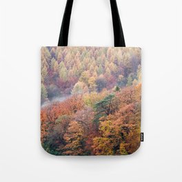 Autumn Trees Panorama Tote Bag