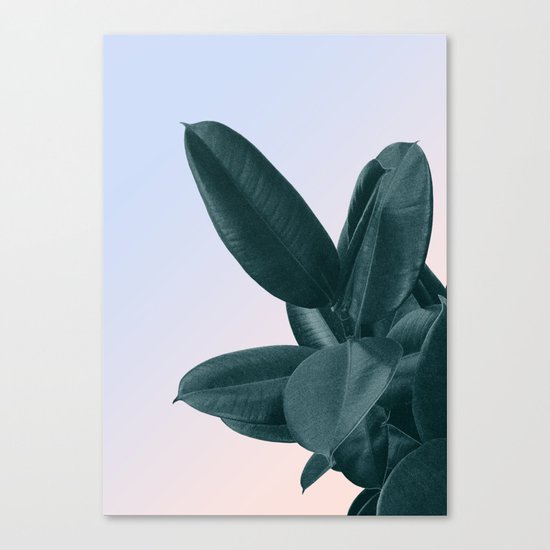 Someone new Canvas Print