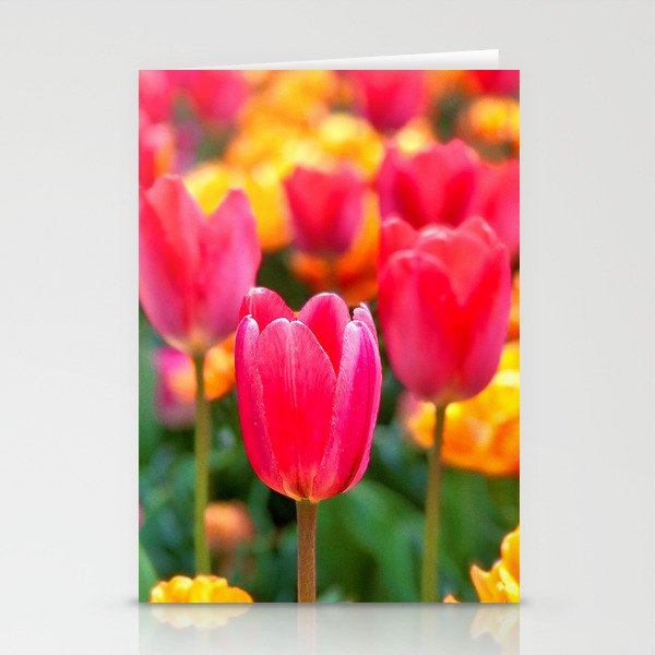 In Full Bloom Stationery Cards