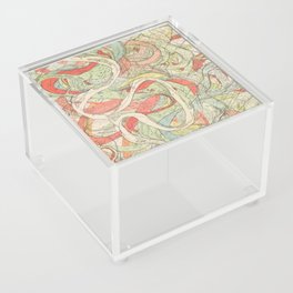 Meander Maps of the Mississippi River Acrylic Box