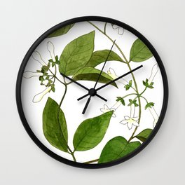 Stephanotis Vine Wall Clock