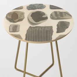 Naturalist Fossils Side Table