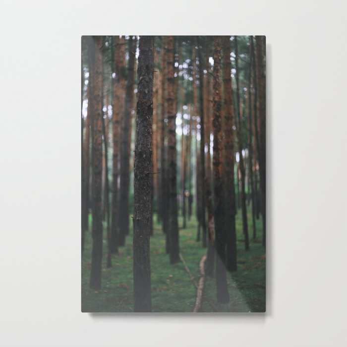 Netzener Wald Metal Print
