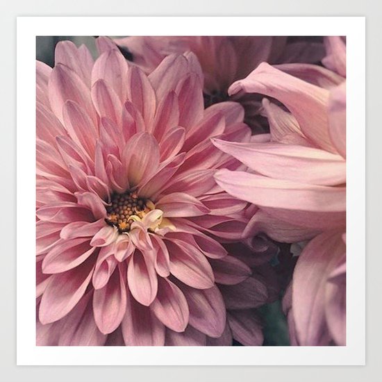 Flower Art Print