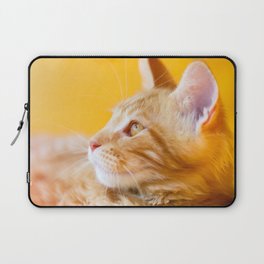 Red-white tabby Maine Coon cat Laptop Sleeve | Feline, Maine, Pet, Mainecoon, Marble, Americanlonghair, Medium Haired, Coon, Shaded, Orange 