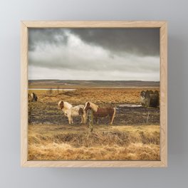 Iceland Horse Pair Framed Mini Art Print