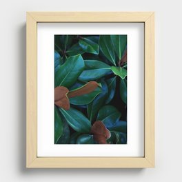 Magnolia Leaves Recessed Framed Print