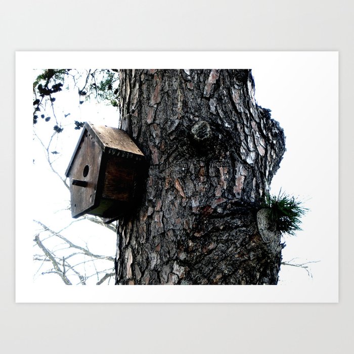 Pine Tree Bird House Art Print