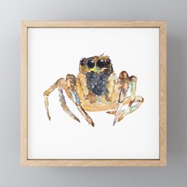 Jumping Spider painting watercolour Framed Mini Art Print