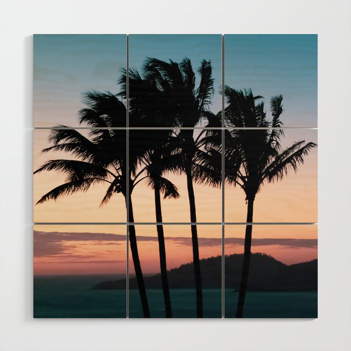 Tropical palm trees swaying in the breeze at sunset on Hamilton Island Wood Wall Art