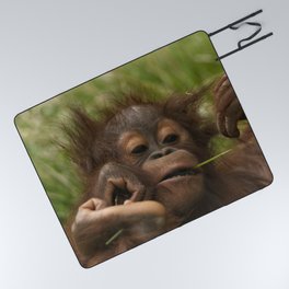 Orangutan Baby Picnic Blanket