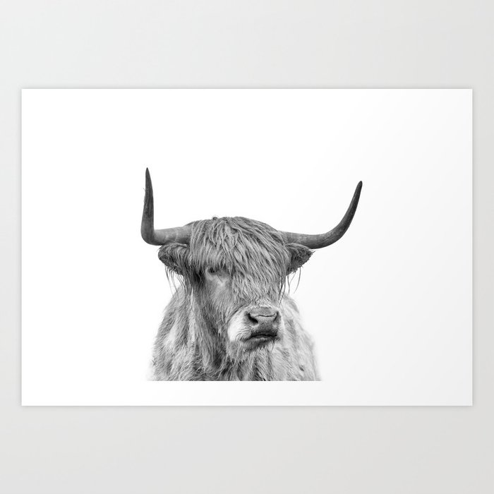 Highland Bull Portrait Art Print