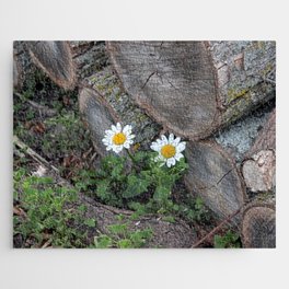 Wild Daisies in the Apple Wood Pile Jigsaw Puzzle
