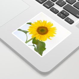 Sunflowers for Ukraine-All Profits Go to Ukrainian Relief Fund Sticker