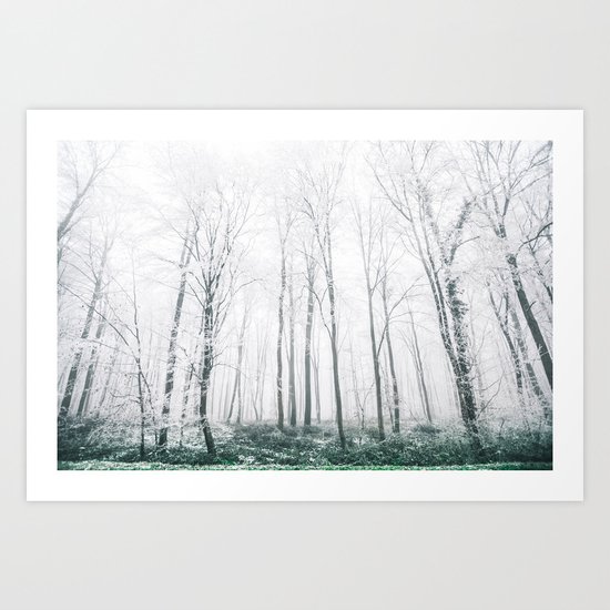Winter Forest Art Print