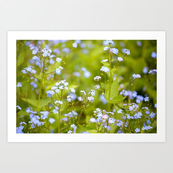 Forget-me-not Art Print