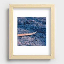 Snake Recessed Framed Print