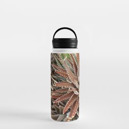 Zebra plant	 Water Bottle