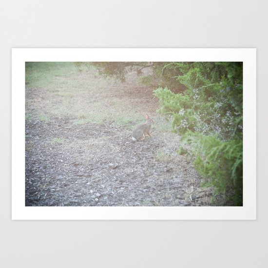 Bunny. Art Print