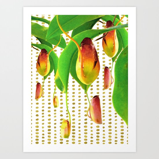 Carnivorous Plants Art Print