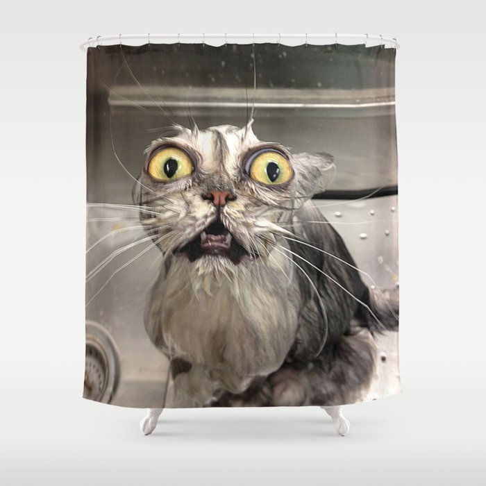 Reddit Wet Shirt