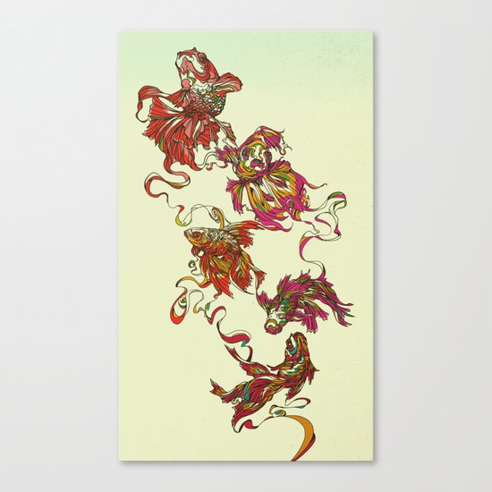 Tanged Veiltail Rainbow Canvas Print
