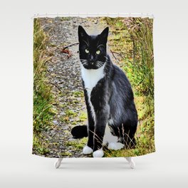 Friendly Cat of the Scottish Highlands in I Art Shower Curtain