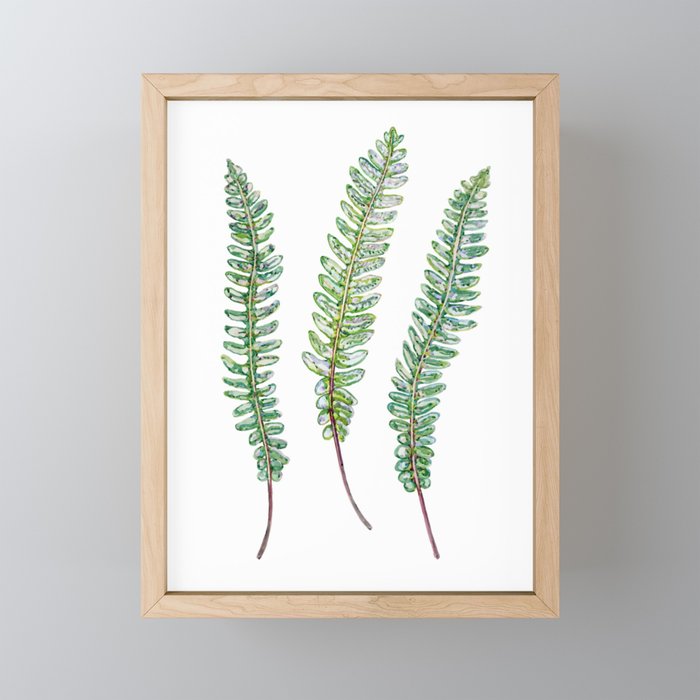 Watercolour Deer Ferns Framed Mini Art Print