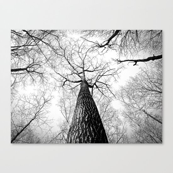 Under a falling sky Canvas Print
