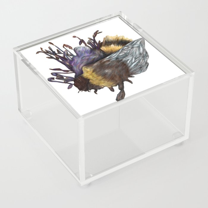 Bumblebee Acrylic Box