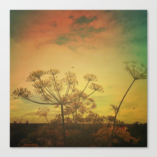 Summer Enchantment Canvas Print