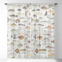 Illustrated Colorful Southern Pacific Exotic Game Fish Identification Chart Sheer Curtain