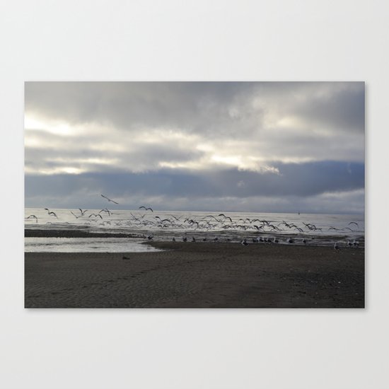 The Seagulls Canvas Print