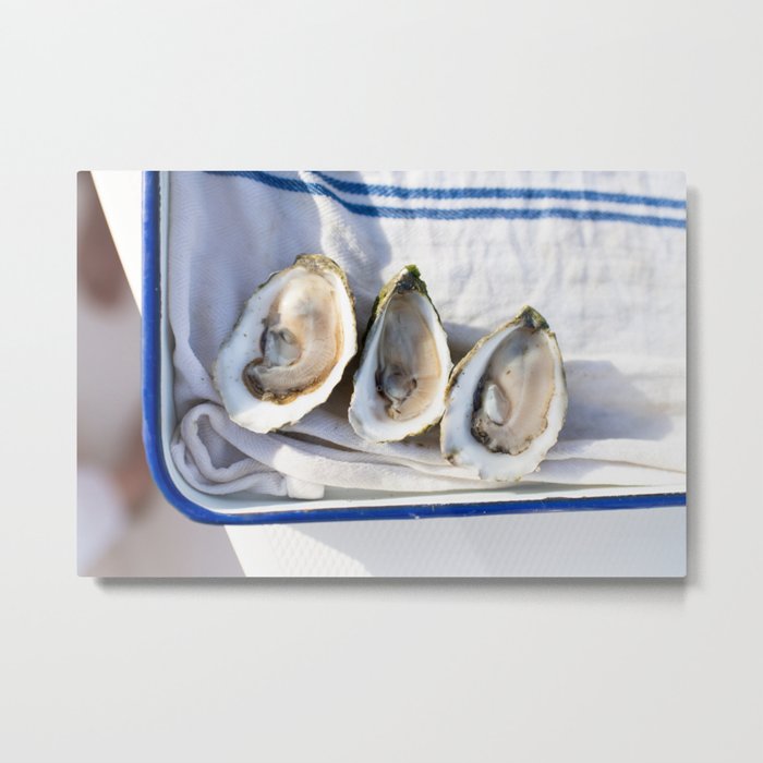 Oysters on Duxbury Bay Metal Print