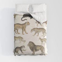 Wild Cats Vintage Illustration Comforter