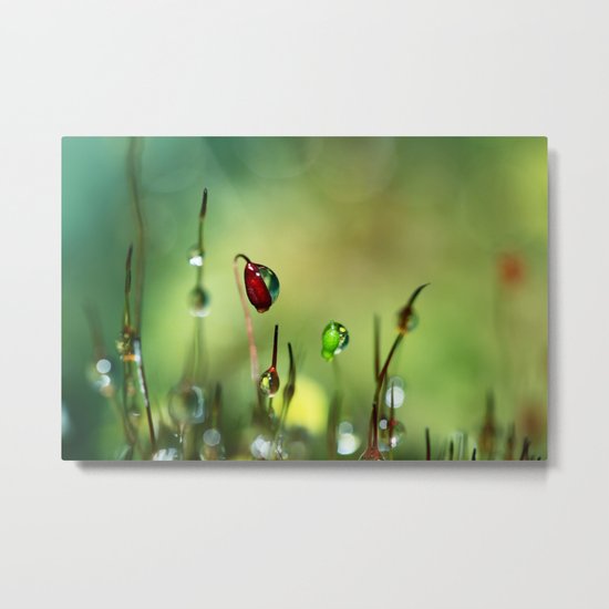 Moss II Metal Print