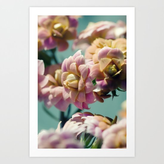 FLOWERS MACRO NATURE Art Print