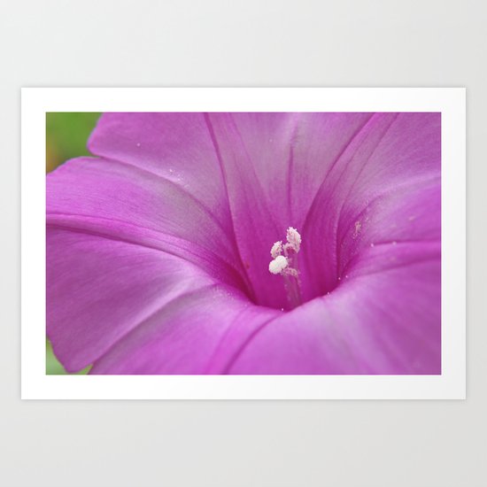 the heart of a flower Art Print