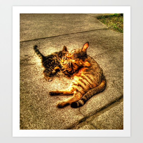 Cats Art Print