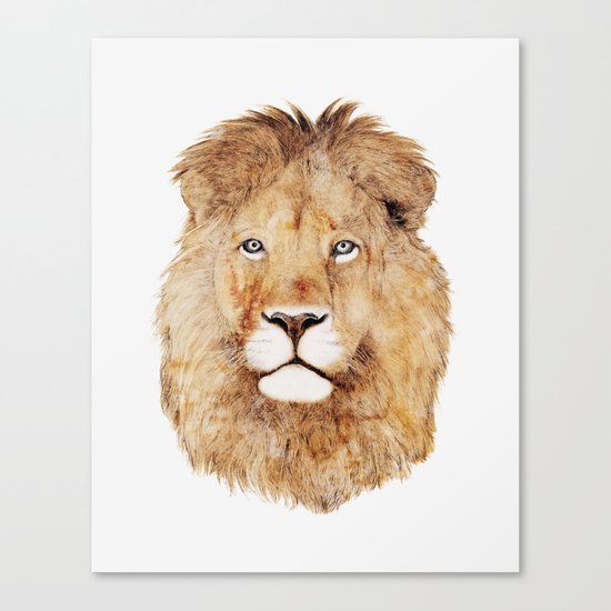 Lion Canvas Print