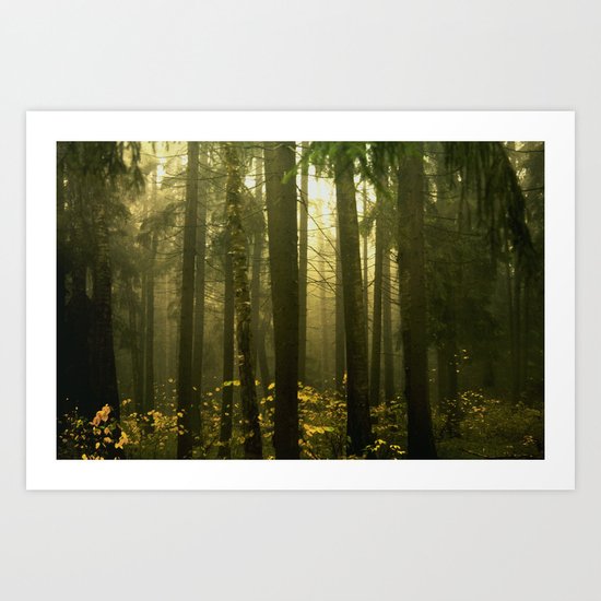 Forest#5 Art Print