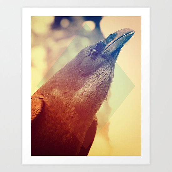 Crow Art Print