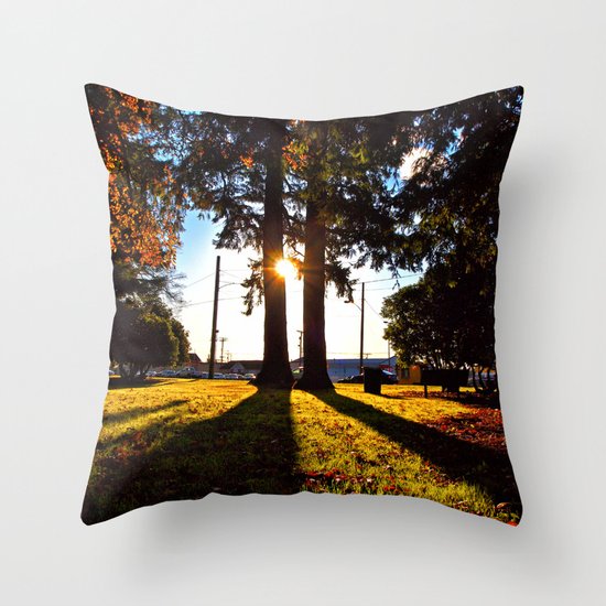 Autumn afternoon Throw Pillow