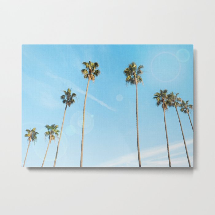 Palm Tree Morning Metal Print